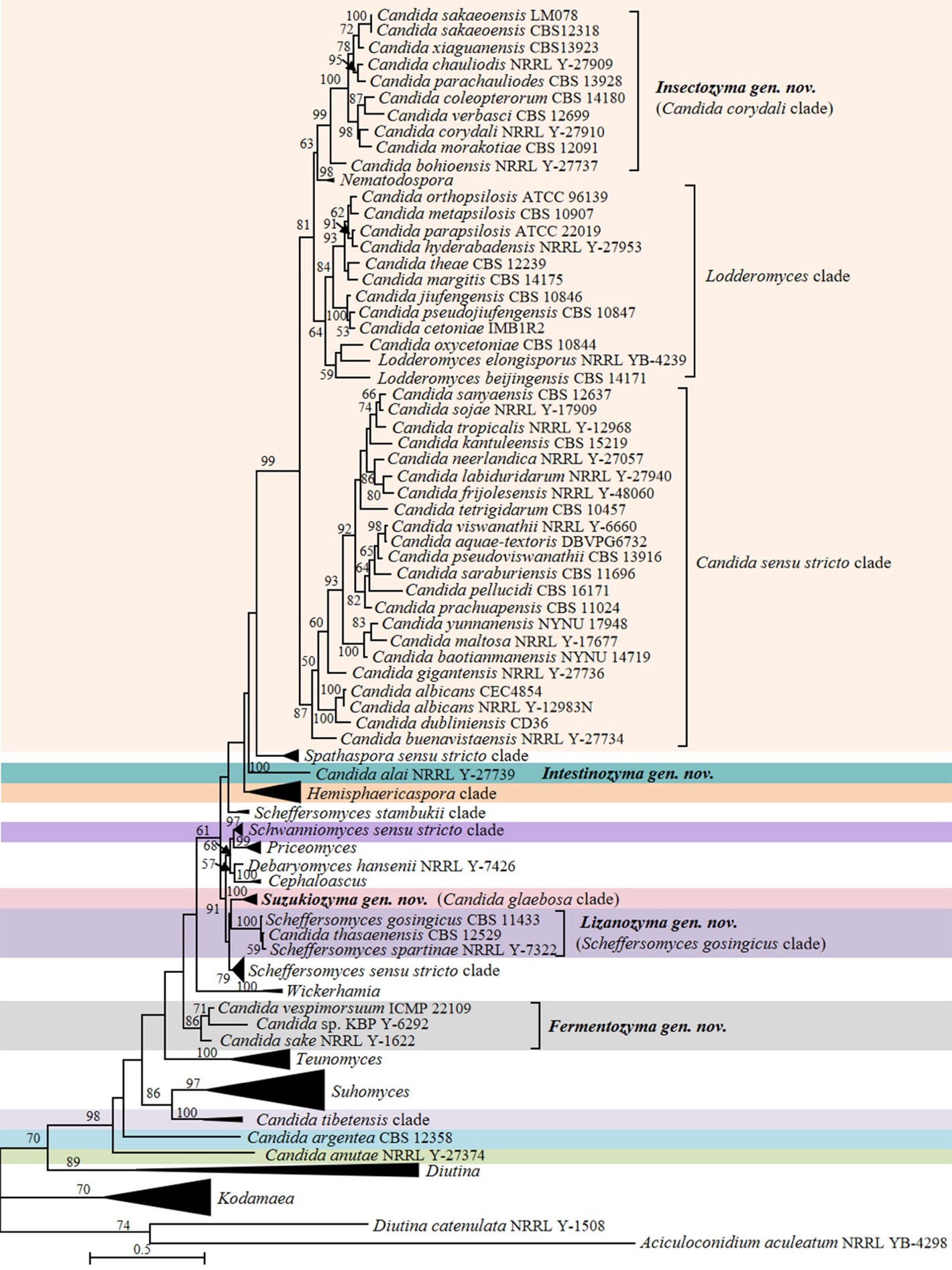 Figure 10